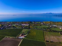 La campagna circostante Desenzano del Garda, provincia di Brescia, Lombardia. In primo piano i campi coltivati e, sullo sfondo, le acque del lago.
