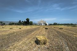 Campagne intorno a Manfredonia in direzione del Tavogliere delle Puglie - © johnnymix / Shutterstock.com