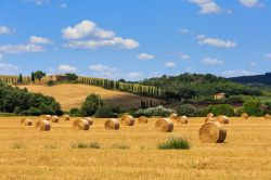 Campi con balloni di fieno nella regione toscana di Siena, Italia.



