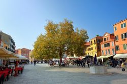 Campo Santa Margherita nel sestriere Dorsoduro, una delle principali filming location di Venezia - © Oleg Znamenskiy / Shutterstock.com