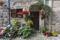 Casa tradizionale a Bolsena, Italia. La facciata in pietra si impreziosisce dei colori sgargianti di questi fiori dalle mille sfumature - © Claudio Giovanni Colombo / Shutterstock.com
 ...