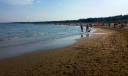 Casalborsetti (Ravenna) dispone di diversi tratti di spiaggia libera, ottima per chi preferisce spazi più ampi rispetto a quelli proposti dagli stabilimenti.