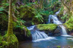 Cascata nella vegetazione tra le montagne di Big Hawaii, la grande Isola di Hawaii