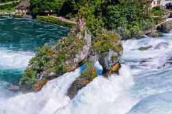 Punto di osservazione in mezzo alle Cascate di Schaffhausen. - ©  Richard Cavalleri / Shutterstock.com