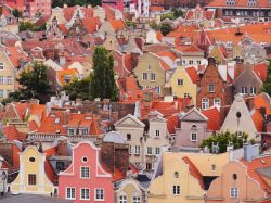 Case colorate a Gdansk (Danzica), Polonia: le tonalità pastello dominano la scena delle strade in cui sorgono i caratteristici edifici alti e stretti di Danzica. - © Karol Kozlowski ...