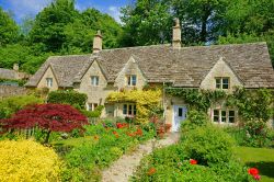 Le pittoresche case in pietra di Bibury fotografate all'inizio dell'estate: siamo tra le colline di Cotswolds, nella contea di Gloucester nell'Inghilterra sud occidentale - © ...
