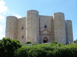 Castel del Monte è rappresentato anche sulla moneta italiana da 1 centesimo di Euro ed è il simbolo per eccellenza di Andria (Puglia).

