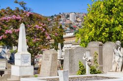 Il Cerro Panteón ospita il grande cimitero di Valparaíso (Cile). Qui sono sepolti personaggi storici, dissidenti e personalità di spicco cilene - foto © Milosz ...