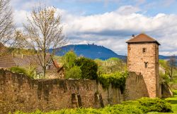 Cinta muraria di Bergheim, il borgo della Francia orientale - © Leonid Andronov / Shutterstock.com