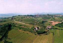 Panorama di Colognola ai Colli