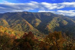 Colori autunnali di prima mattina nel parco nazionale delle Great Smoky Mountains, Tennessee e Carolina del Nord.
