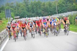 La Coppa dOro, il trofeo del migliore direttivo sportivo nel ciclismo, è una importante competizione sportiva che nwl mese di settembre richiama a Borgo Valsugana numerosi appassionati ...