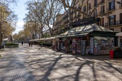 Coronavirus a Barcellona: anche  la Ramblas senza passeggio per la quarantena di COvid-19 in Spagna - © Dino Geromella / Shutterstock.com