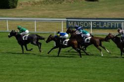 Una corsa dei cavalli a Maisons Laffitte, un importante ippodromo della Francia - © Yvan / Shutterstock.com 