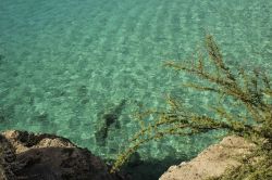 Un dettaglio dell'acqua cristallina a Grote Knip sull'isola di Curacao. Questa spiaggia dell'isola caraibica di Curacao si trova nella parte occidentale fra i villaggi di Westpunt ...