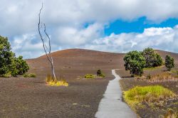 Devastation  traIl, il sentiero di Big Hawaii, lungo la colata del vulcano  il vulcano Kilauea Iki