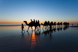 Dromedari con turisti passeggiano su Cable Beach al tramonto nella città di Broome, Australia Occidentale. E' una delle attrazioni turistiche più popolari.




