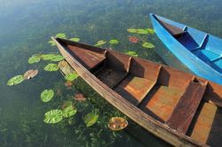 Due barche in legno ormeggiate nel lago Plav, Montenegro.



