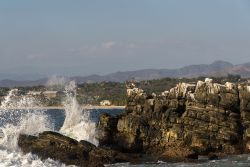 Due pellicani sulla costa rocciosa di Puerto Escondido, Messico - © Leonardo Emiliozzi Ph / Shutterstock.com
