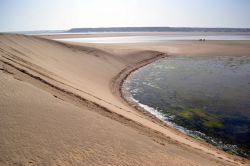 Dune Blanche: la duna si getta nelle acque della ...
