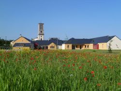 Edifici e campanile nella cittadina di Montrée, Francia. In primo piano, un campo di papaveri.
