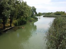 Escursione in barca sul Fiume Sile vicino a Jesolo nel Veneto