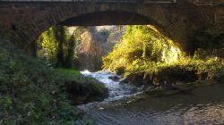 Escursione nella natura che avvolge la zona di San Mauro Cilento - © www.sanmaurocilento.gov.it