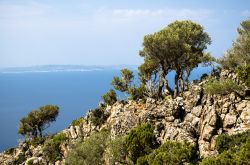 Escursione sul sentiero panoramico di Nebida in Sardegna