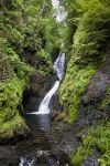 Ess-Na-Larach le cascate sul fiume Glenariff River in Irlanda del nord