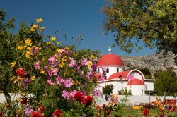 Fiori colorati nell'altopiano di Lassithi, isola di Creta, con una chiesa greco cattolica sullo sfondo.
