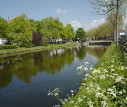 Fiori e vegetazione primaverile lungo un canale a Middelburg, Olanda.

