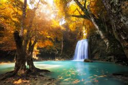 Foliage autunnale in una foresta con cascata nel  Kanchanaburi, Thailandia. In primo piano, un branco di pesci rossi nuota nelle acque del torrente.
