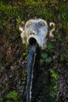 Fontana a forma di testa di scimmia a Villa d'Este, ...