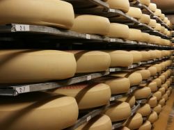Forme del formaggio Emmental al caseificio Emmentaler Schaukaserei a Affoltern (Svizzera).
