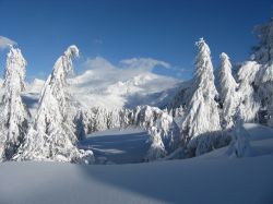 Forte nevicata nella zona di Madesimo in Lombardia