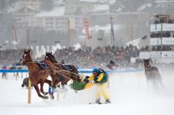 Una gara di skikjöring sul lago ghiacciato di St Moritz in Engadina - © Ventura / Shutterstock.com