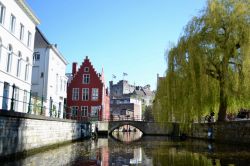 Gent: approfittando dei canali che attraversano la città, le gite in barca sono un ottimo modo per scoprire il capoluogo delle Fiandre da una prospettiva diversa.