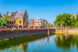 Gente a passeggio in piazza Buitenhof a Den Haag, Olanda, in una giornata di primavera - © trabantos / Shutterstock.com