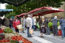 Gente al mercato dei contadini nella piazza di Bergerac, Francia. Il mercato vicino alla chiesa di Notre Dame è aperto tutti i venerdì e sabato - © StockphotoVideo / Shutterstock.com ...