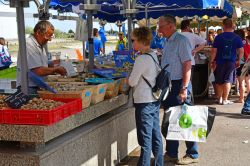 Gente al mercato del pesce a Courseulles-sur-Mer, Francia  - © Pack-Shot / Shutterstock.com