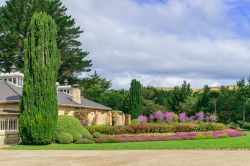 I giardini del castello di Larnach a Dunedin, Nuova Zelanda. Unico castello del paese, è circondato da 14 ettari di parco riconosciuti di importanza internazionale per la loro bellezza ...