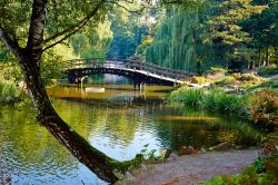 Giardini botanici a Wroclaw, Polonia - Fondato nel 1811 come Istituto Scientifico dell'Università, l'orto botanico di Breslavia ospita piante che provengono da ambienti naturali ...