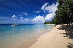 Gibbes Beach si trova sulla costa ovest di Barbados, e come molti altri arenili dell'isola, è una delle spiagge bianche più apprezzate nei Caraibi  - © Filip Fuxa ...