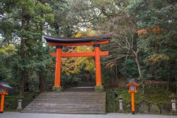 Un gigantesco cancello torii all'ingresso del santuario shintoista nella città di Usa, Oita, Giappone.

