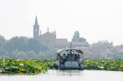 Gita in barca tra i fiori di loto tra Mantova e il Santuario della Beata Vergine delle Grazie (Lombardia).
