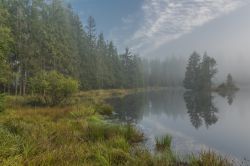 Gli stagni di Bahnak vicino a Kladska in Boemia