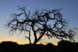 Gobabis, Namibia: tramonto nella savana