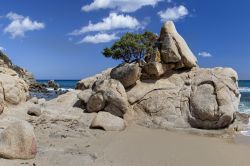 I graniti delle spiagge della Costa Rei in Sardegna  - © Tramont_ana / Shutterstock.com