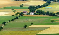 I campi coltivati nella campagna della piana di Norcia, provincia di Perugia, in estate. Norcia è collocata nel punto di raccordo fra la Valnerina e i Monti Sibillini - © Claudio ...