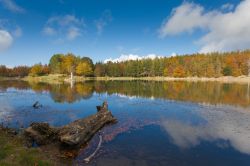 I colori dell'autuno sul Lago Calamone in Emilia-Romagna